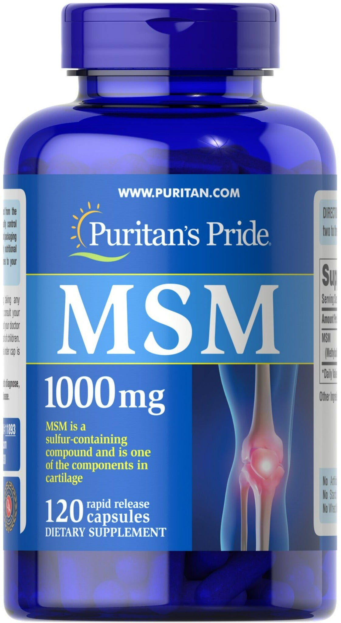 MSM 1000 mg (Fuente de Azufre)